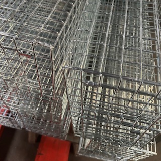Our TrapMan squirrel traps are back Our-TrapMan-squirrel-traps-are-back