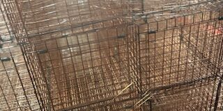 Pretty Purrrfect Cat TRaps Pretty Purrrfect Cat TRaps