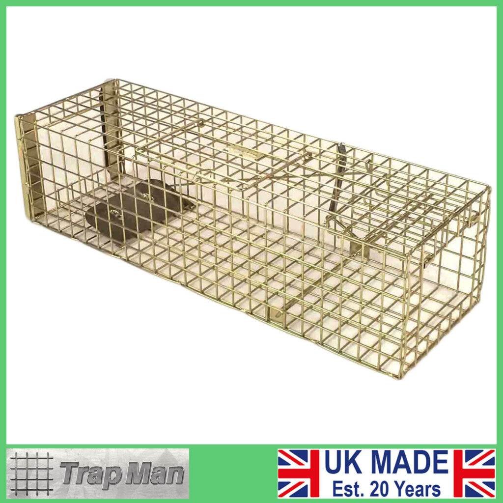 TrapMan multi catch grey squirrel trap UK made squirrel trap