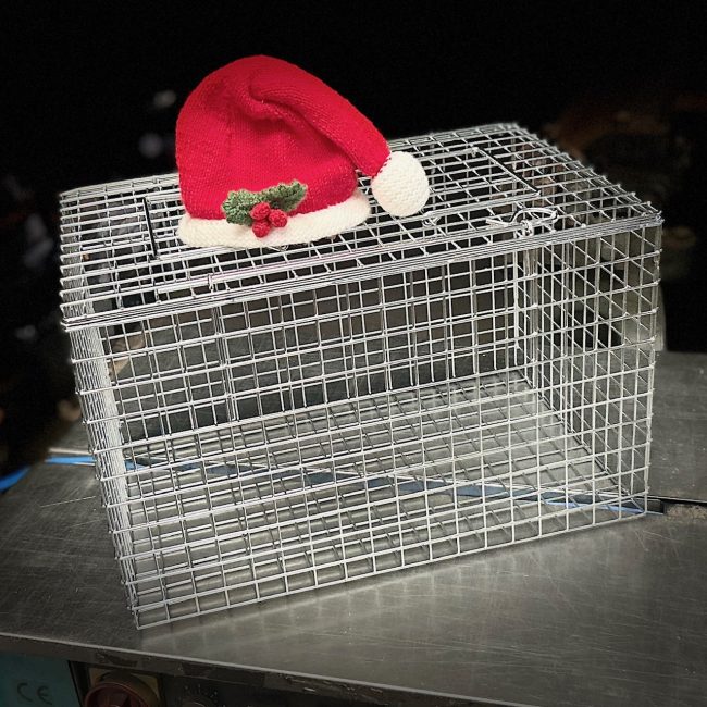 Santa hat Christmas Cat Basket