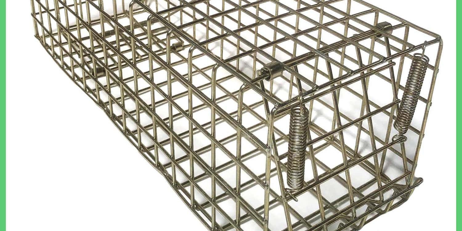 TrapMan Simple Rat Trap