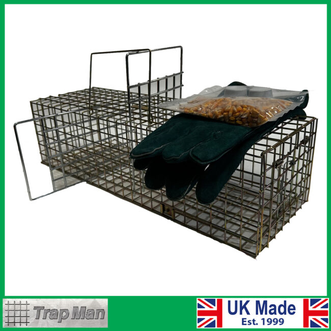 Squirrel Package 2 Grey Squirrel trapping kit. Trap gloves bait and 2 combs
