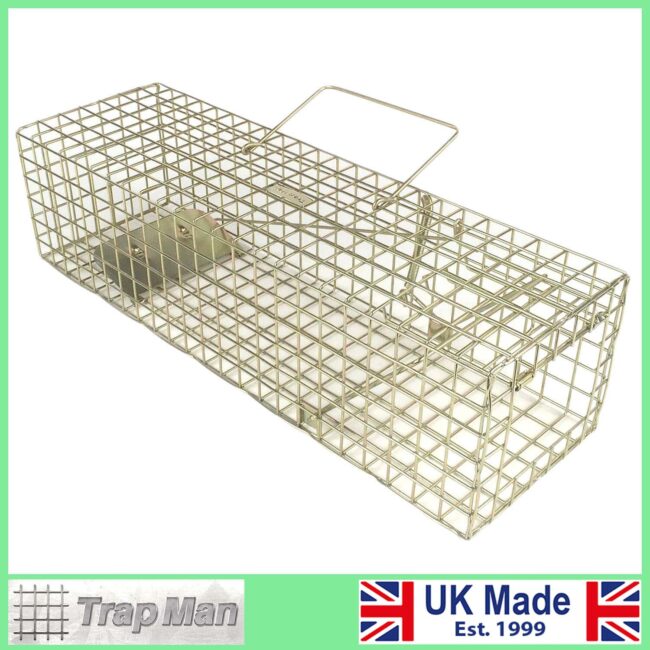 Squirrel-Trap-Set Grey Squirrel Trap set with door open and treadplate up for the capture of squirrels because squirrel pox has resurfaced