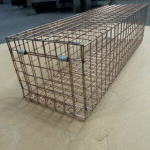 Squirrel Trap Tester