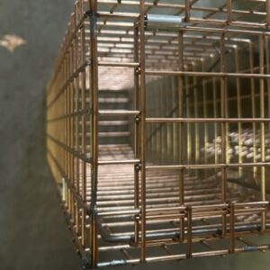 We weld Our Squirrel Traps
