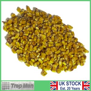 TrapMan Whole Maize Bait