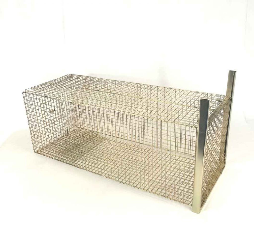 The Trap Man Live catch fox traps are often seen as the only humane solution to problems of