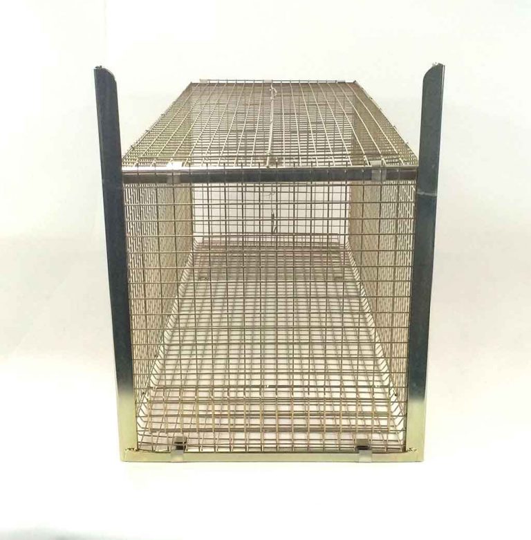 The Trap Man Live catch fox traps are often seen as the only humane