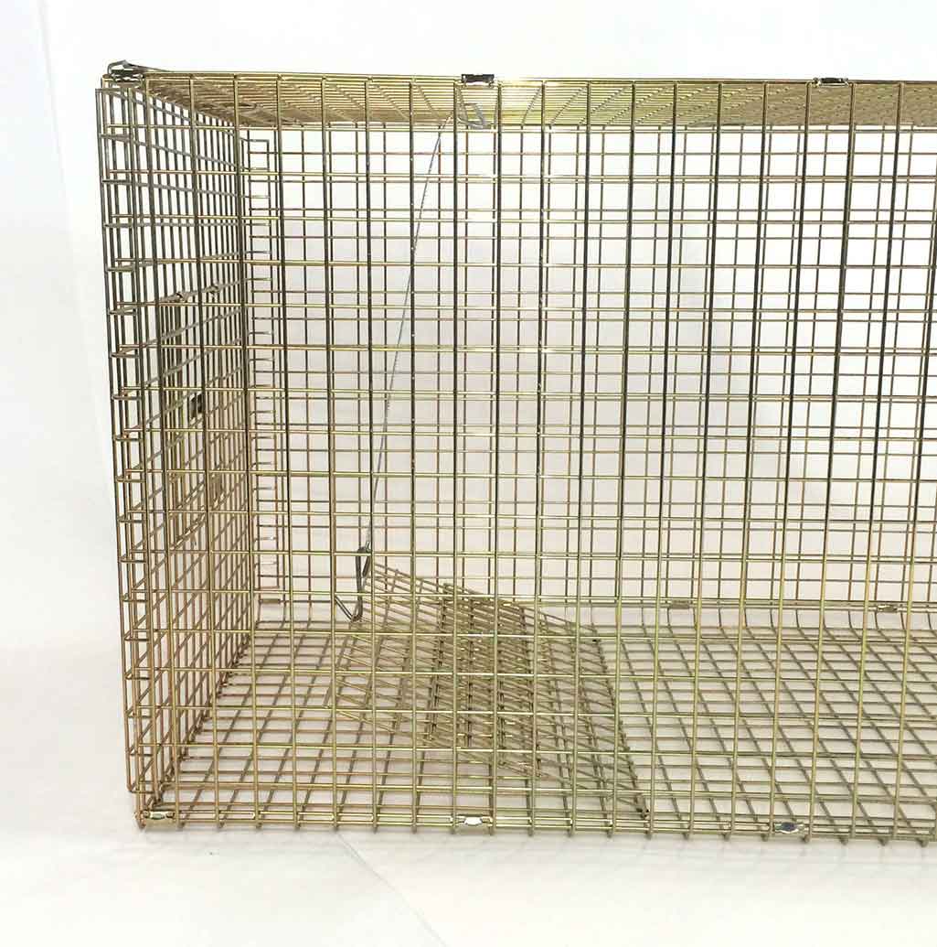 The Trap Man Live catch fox traps are often seen as the only humane