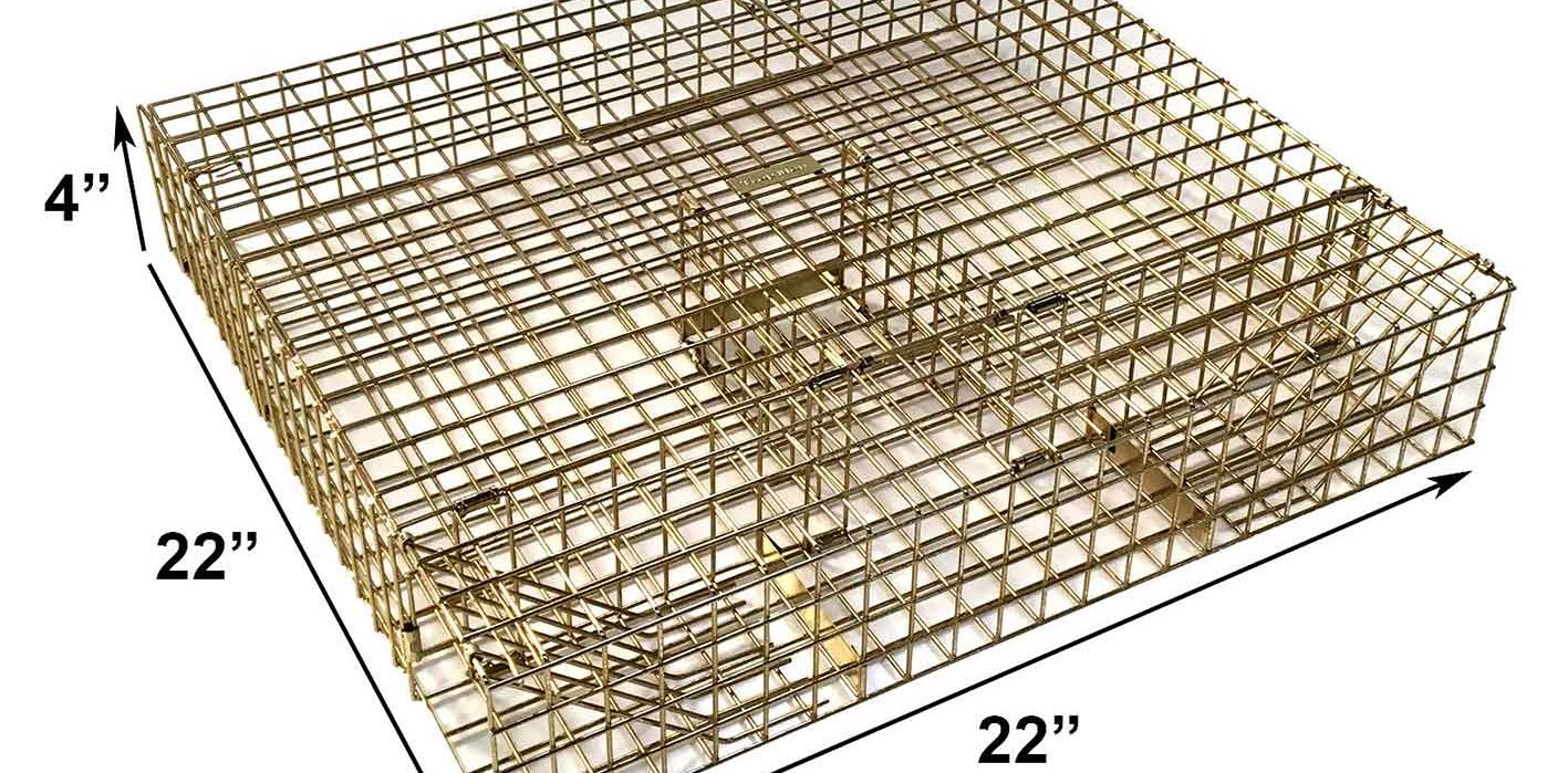 multi catch grey squirrel trap