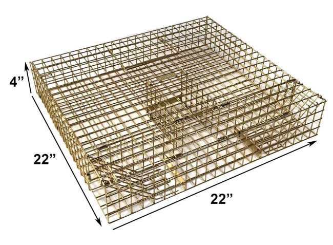 multi-catch-grey-squirrel-trap multi catch grey squirrel trap