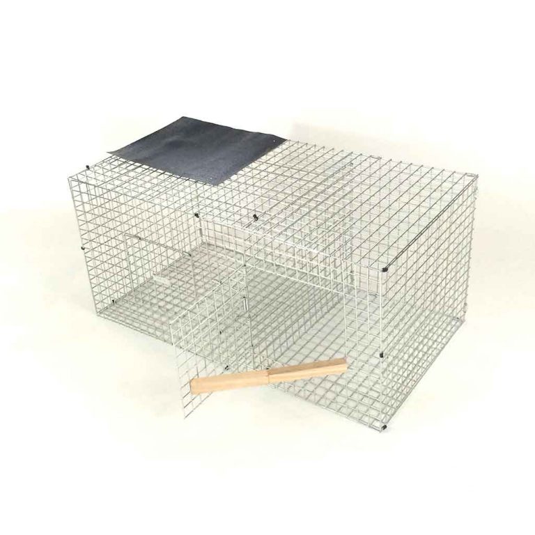 the crow trap review the crow trap review
