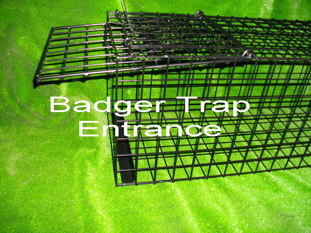badger trap entrance