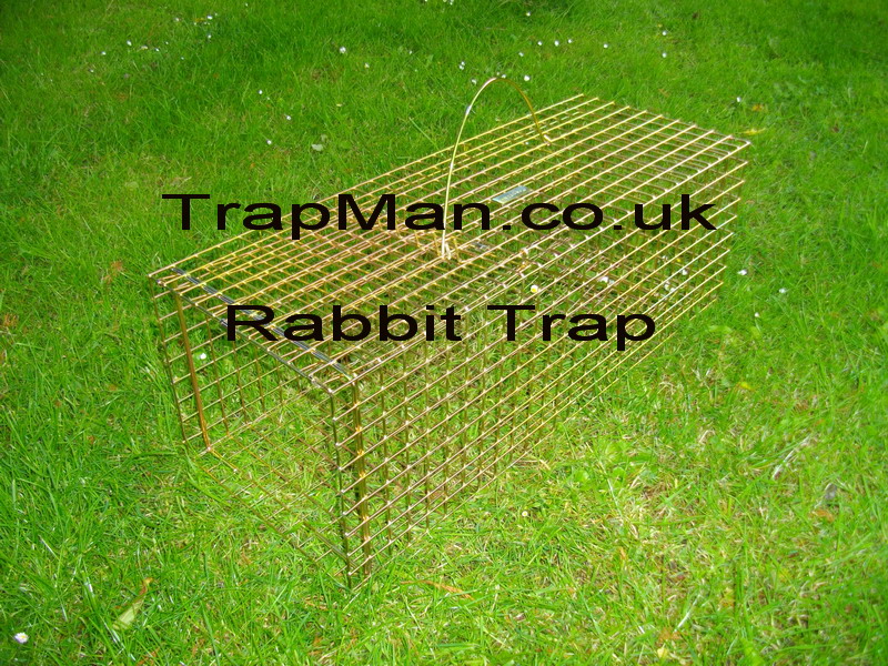 single catch rabbit trap with instructions boxed