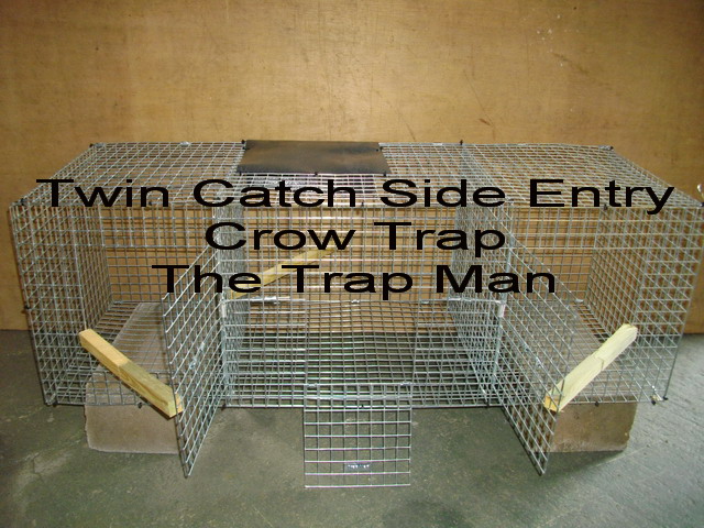 Larsen crow trap, twin catch,  side entry