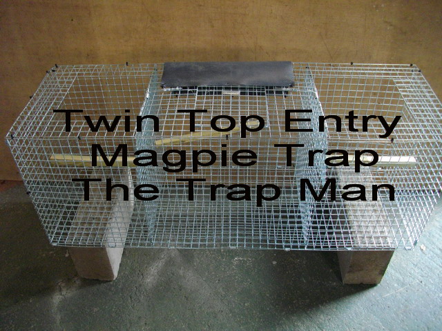 Twin capture magpie trap, twin top entry design with central decoy compartment