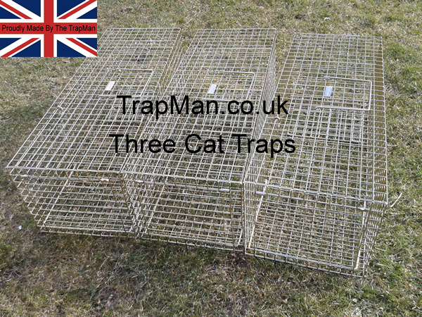 three feral cat traps