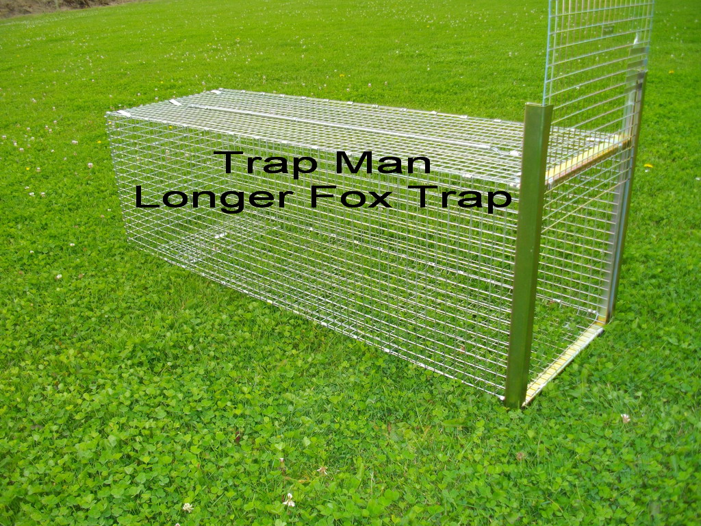 Longer flat packed fox trap