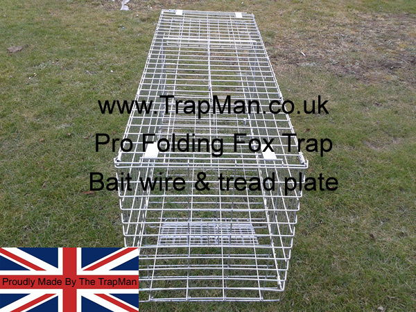 Best way to bait this fox trap is dig out a small scrape or hole about 6 inches square and two inches deep, bait the hole with a small piece of kipper or cooked chichen carcase, position the fox trap over the hole directly under the tread plate in the rear of the cage,