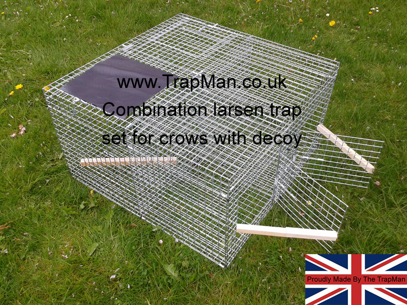 larsen combination trap set for crows twin side entry and decoy