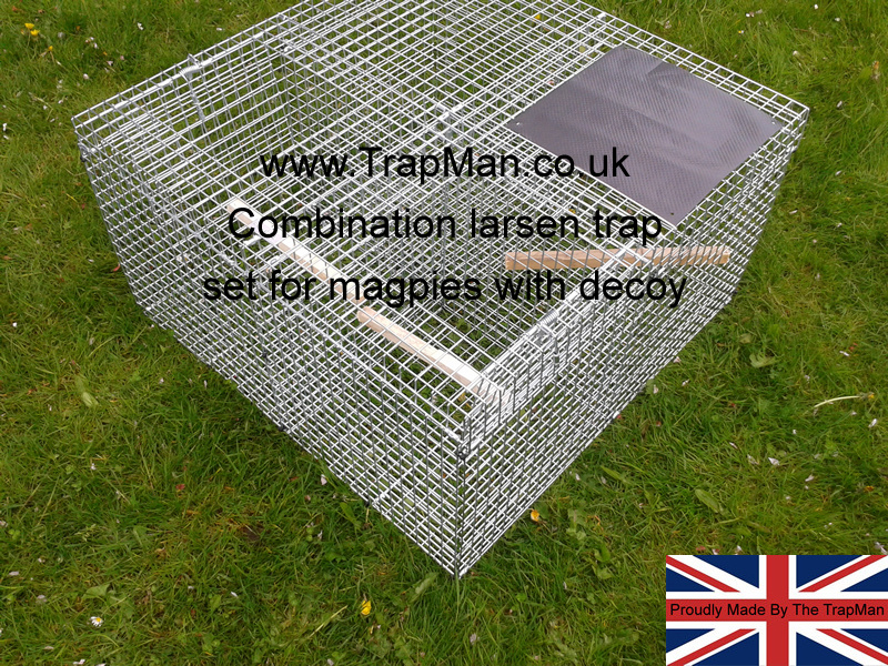 combination larsen trap set for magpies twin top entry and decoy
