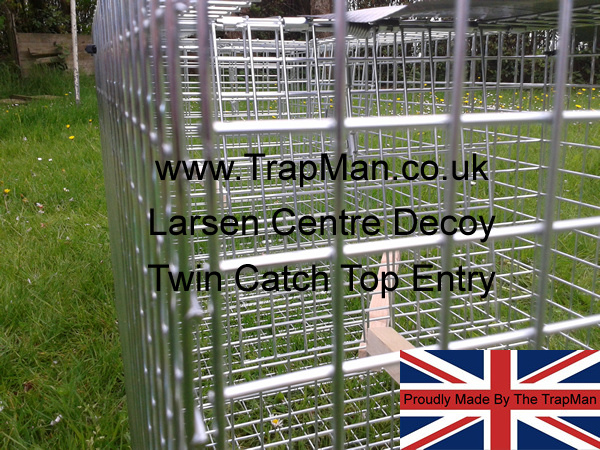 Cheaper twin top entry Magpie trap