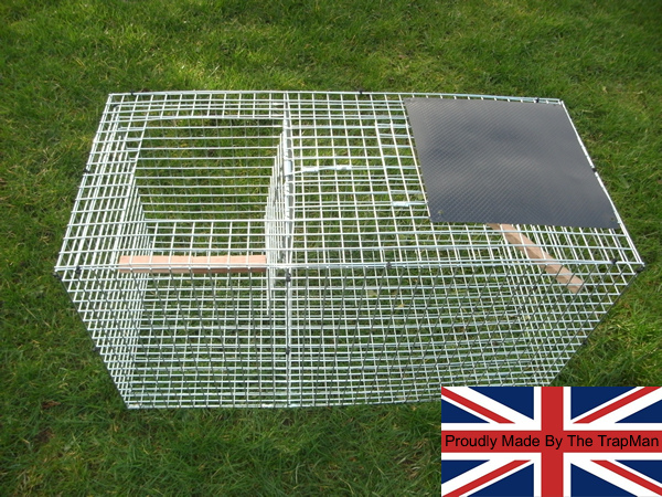 Single catch magpie trap brand new UK made by The TrapMan